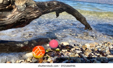 Colored Plastic Mini Ball, Death Tree Branch On Wave Beach And Sand Beauty