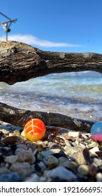 Colored Plastic Mini Ball, Death Tree Branch On Wave Beach And Sand Beauty