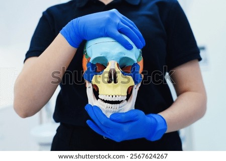 Colored plastic skull for studying human anatomy in female hands wearing blue gloves.