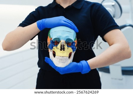 Colored plastic skull for studying human anatomy in female hands wearing blue gloves.