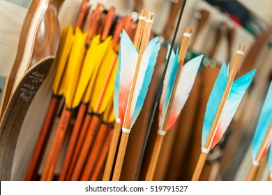 colored plumage close up arrows for archery