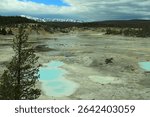colored pools in the norris geyser basin.