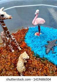 Colored Rice Sensory Bin With Animals