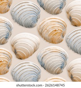 Colored Seashells Minimal Pattern on beige, oceanic and sea life decor, aesthetic summer background with beige blue conchs, shell of mollusks, creative still life, nature abstract, nautical style 