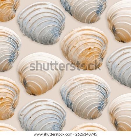 Colored Seashells Minimal Pattern on beige, oceanic and sea life decor, aesthetic summer background with beige blue conchs, shell of mollusks, creative still life, nature abstract, nautical style 