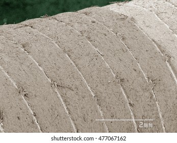 Colored SEM Of Grease Pencil