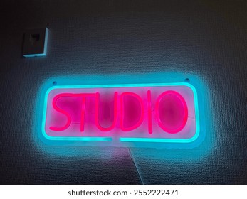 colored studio light background, in the dark, brick wall, neon