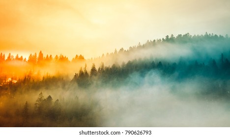 Colored sunrise in forested mountain slope with fog - Powered by Shutterstock