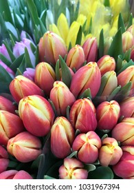 Colored Tulips Bouquet 