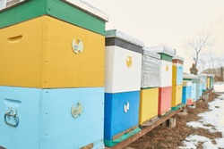 Colored Wooden Bee Hives In Winter