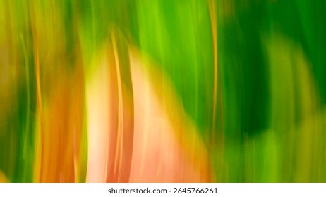 Colorful Abstract Nature Background with Vertical Motion Blur