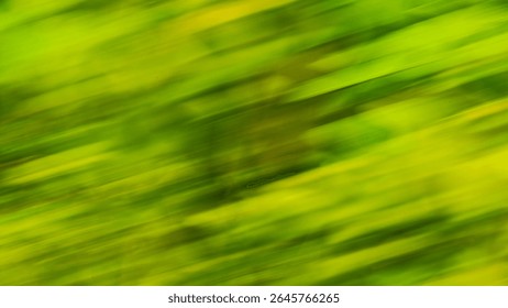 Colorful Abstract Nature Background with Vertical Motion Blur