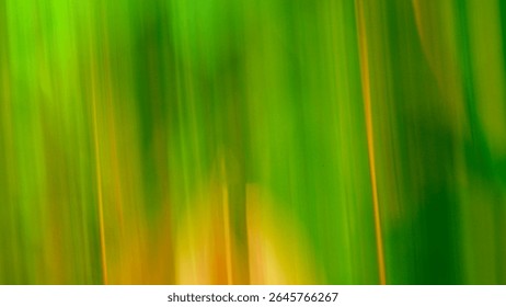 Colorful Abstract Nature Background with Vertical Motion Blur
