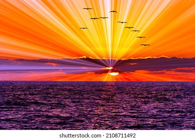 A Colorful Abstract Nature Ocean Sunset With Birds Flying And Bright Rays Emanating From The Sun