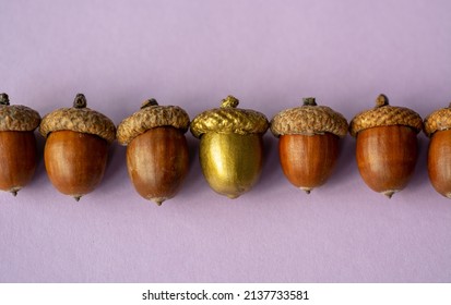 Colorful Acorn Against Of Ordinary Acorns Abstract Vision Be Different, Unique Personality Or Standing Out From The Crowd, Leadership Quality