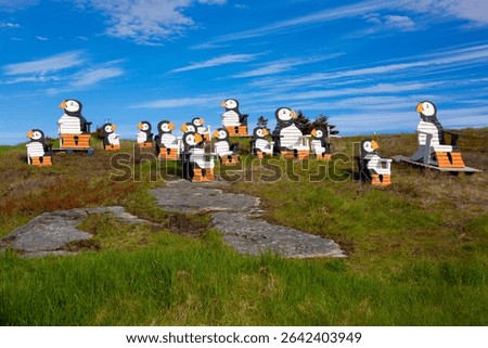 Colorful, Adirondack-style chairs painted as puffins on a grassy hill in Elliston, Newfoundland
