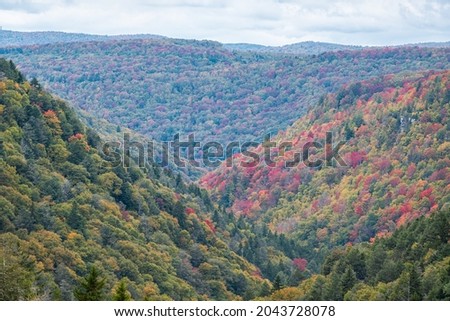 Colorful Allegheny mountains in autumn fall season with multicolored red and yellow foliage at Lindy Point overlook in Blackwater Falls State Park in West Virginia, USA