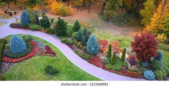 Colorful alley in the autumn arboretum. Great variety of conifers and deciduous plants. Landscaping. Drone view