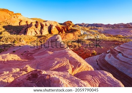 Colorful amazing formations in Valley of fire state park Nevada, the pink and yellow colors on the Fire Wave panoramic view during sunset