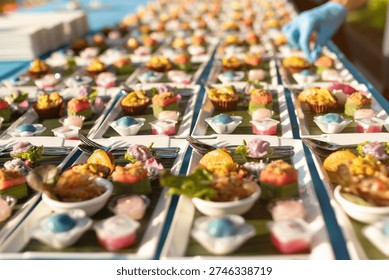 A colorful appetizer platter with assorted bite sized desserts and savory hors doeuvre arranged for catering event, festive and appetizing