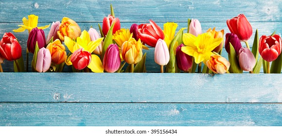 Spring Flowers Banner Images Stock Photos Vectors Shutterstock