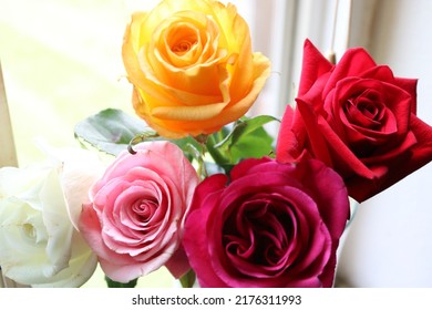 Colorful Array Of Fresh Roses In Window Sill 