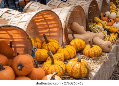 A colorful array of winter squash, pumpkins, and gourds on display for sale in autumn. 