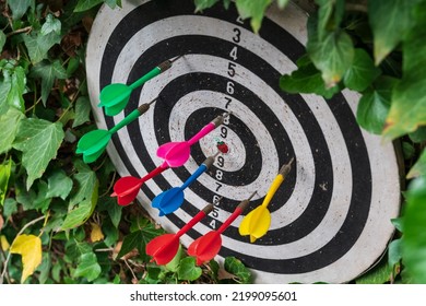 Colorful arrows in dartboard on green ivy background, target hit with darts. Sports game and outdoor activities, hobby and leisure, success and entertainment concept