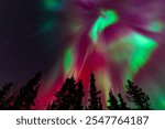 Colorful Aurora Borealis, Northern Lights, at Yellowknife, Northwest Territories, Canada