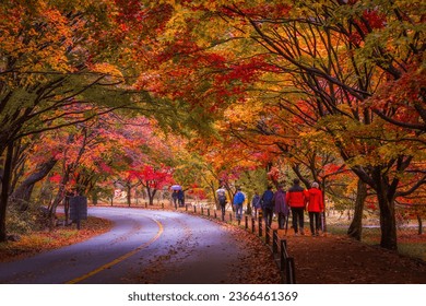 Стоковая фотография: Colorful autumn with beautiful maple leaf in sunset at Naejangsan national park, South Korea.