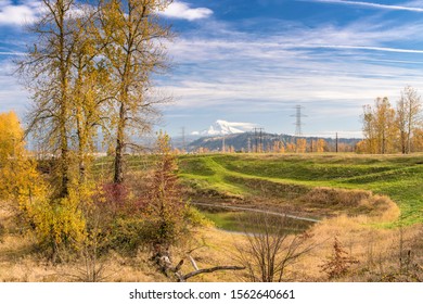 Colorful Autumn Colors In A Landscape Oregon State.