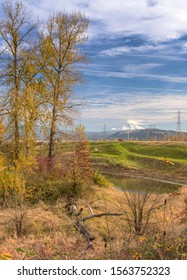 Colorful Autumn Colors In A Landscape Oregon State.