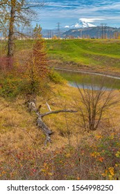 Colorful Autumn Colors In A Landscape Oregon State.