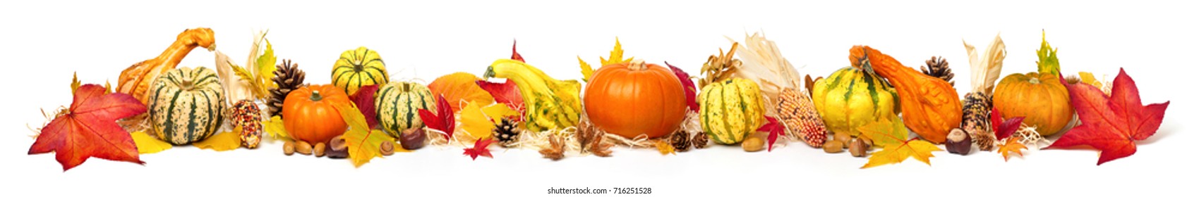 Colorful autumn decoration with leaves, pumpkins and more, isolated and extra wide format as banner or border