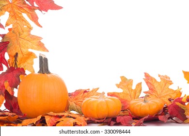 Colorful Autumn Decoration Pumpkins Border Fall Stock Photo 330098444 ...