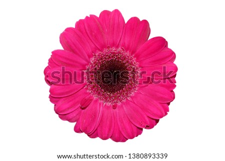 Similar – Foto Bild 3 Gerbera-Blüten im Glas auf Papprolle