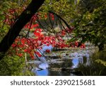 Colorful autumn foliage colors with stream background in the Chippewa National Forest, northern Minnesota USA