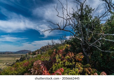 Colorful Autumn Hillside In Oklahoma