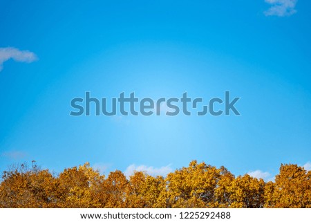 Similar – Golden Autumn Environment