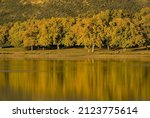 A colorful autumn landscape by the lake in Extremadura, Spain