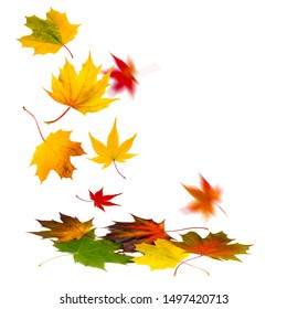 16,848 Leaves falling to the ground Images, Stock Photos & Vectors ...