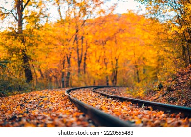 Colorful Autumn Leaves Falling Down On Railway Tracks. Railroad Tracks In Fall. Empty Railroad Tracks, Majestic Nature Landscape. Perspective View. Dream Travel, Freedom Positive Energy Walk Adventure