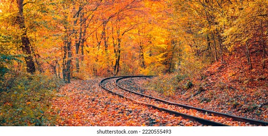 Colorful Autumn Leaves Falling Down On Railway Tracks. Railroad Tracks In Fall. Empty Railroad Tracks, Majestic Nature Landscape. Perspective View. Dream Travel, Freedom Positive Energy Walk Adventure