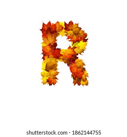 455 Autumn Letter R Images, Stock Photos & Vectors | Shutterstock