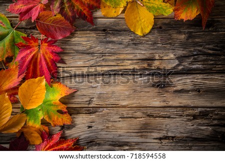 Colorful autumn leaves on old rustic wooden background.
