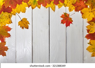 Colorful autumn leaves on a wooden board 