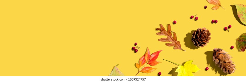 Colorful Autumn Leaves With Pinecones Overhead View - Flat Lay