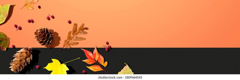 Colorful Autumn Leaves With Pinecones Overhead View - Flat Lay