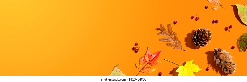 Colorful Autumn Leaves With Pinecones Overhead View - Flat Lay