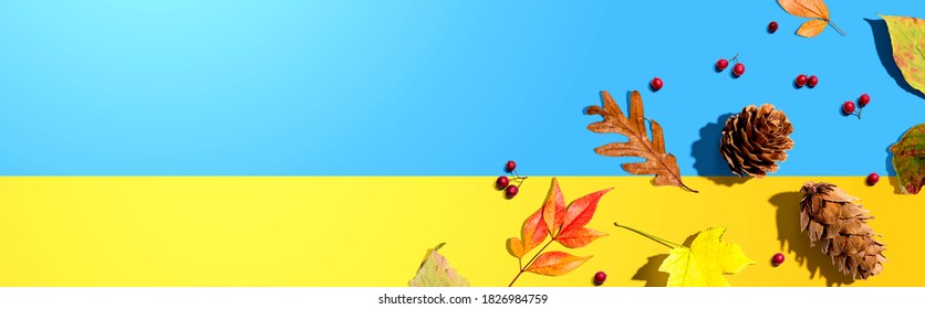 Colorful Autumn Leaves With Pinecones Overhead View - Flat Lay